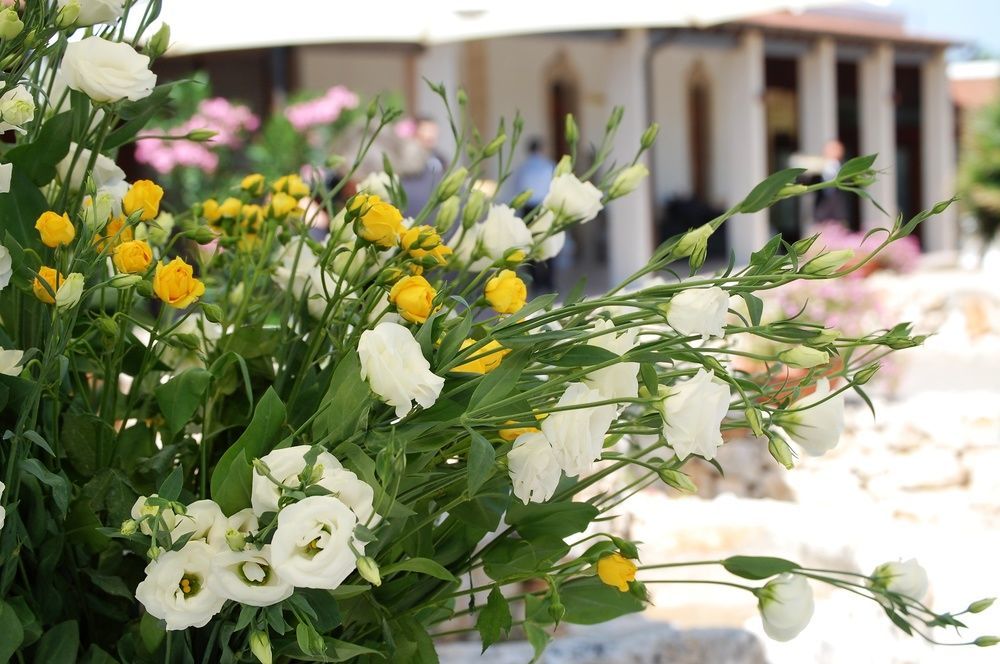 Masseria La Grande Quercia Hotell Mottola Eksteriør bilde